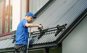 Best Skylight Installation and Repair  in Kingsbury, NV